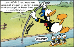 Donald Duck Family Planning