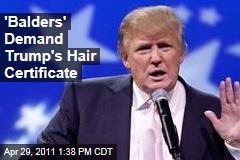 Donald Trump Hair Fail