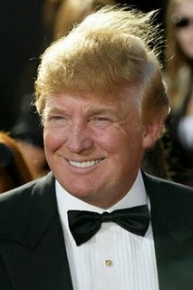 Donald Trump Hair Jokes