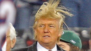 Donald Trump Hair Jokes