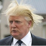 Donald Trump Hair Real