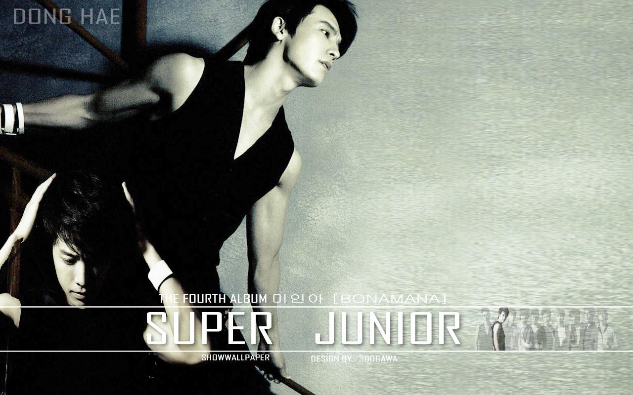 Donghae Suju No Other