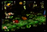Donkey Kong Country 3 Snes Dk Coins