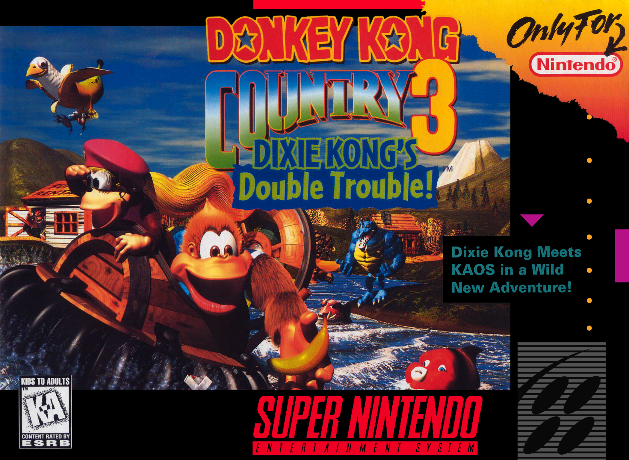 Donkey Kong Country 3 Snes Walkthrough