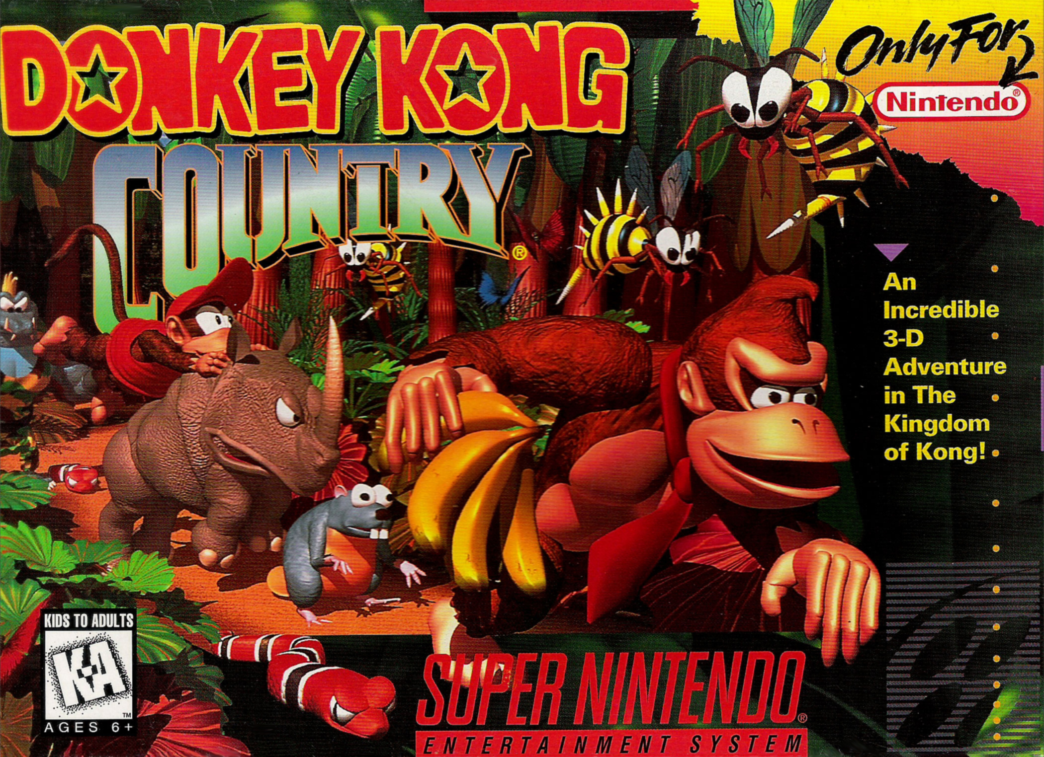 Donkey Kong Country 4 3
