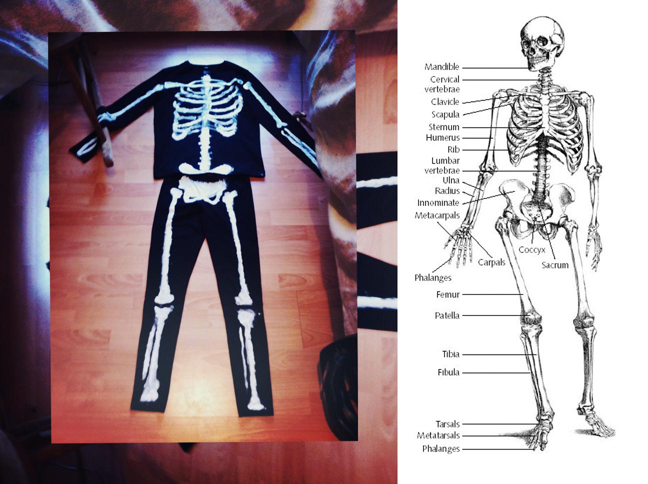 Donnie Darko Skeleton Suit