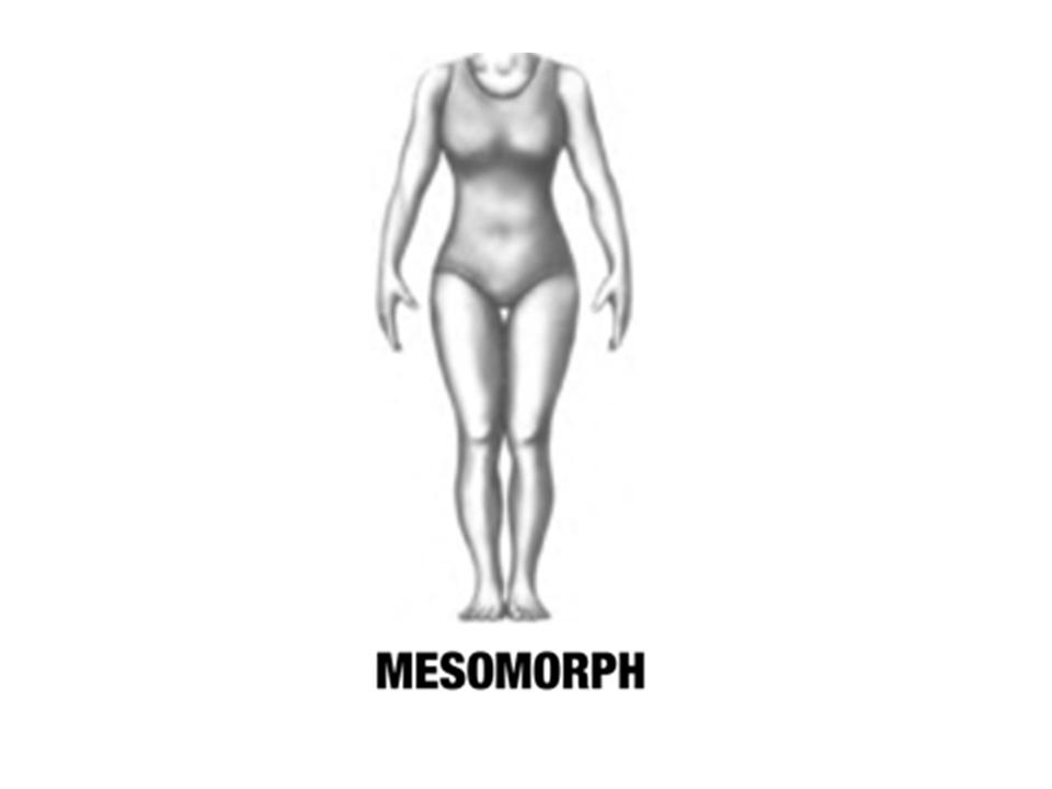 Women Body Types Mesomorph